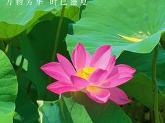 -南翠屏公园