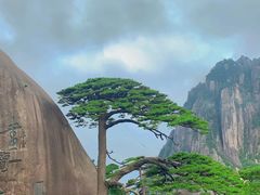 -黄山风景区