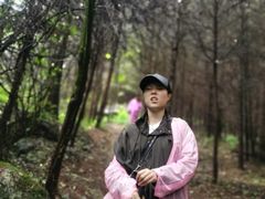 -秦岭风景区