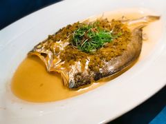 雪菜笋丝蒸大黄鱼-麟1929(外滩店)