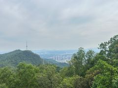 -大雁山风景区
