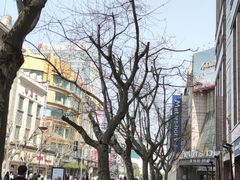 -上海丽笙精选海仑宾馆·莫赛克餐厅