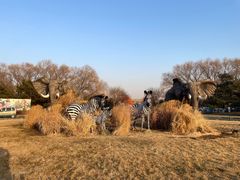 -北京野生动物园