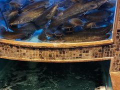 -西江传说•酸汤鱼(水东路店)
