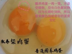 -北京美神宫艺术主题温泉酒店