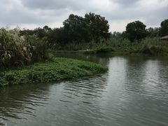 -兴福老面馆(寺路街店)