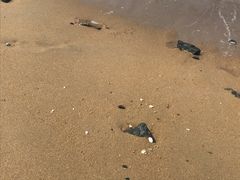 -白沙门生态公园