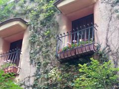 -三鹰之森吉卜力美术馆