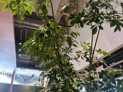 -福田卓悦INTOWN购物中心