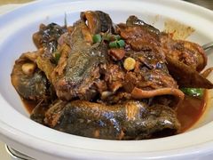 -刘胖子家常菜·蹄花焖藕(兴业店)