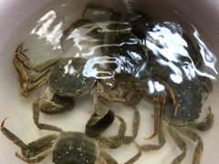 -阳澄湖大闸蟹·琼灵阁牌品牌连锁(吴中总店)