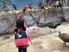 -泉州海丝野生动物世界