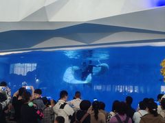 -泉城欧乐堡海洋极地世界