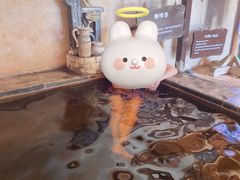 -仁爱团泊湖温泉中心