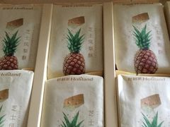 -蒲公英(五里店)