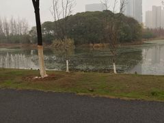 -艾溪湖湿地公园