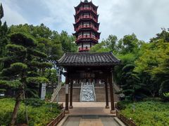 -绳金塔