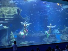 -多彩贵州城极地海洋世界