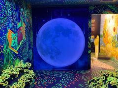 -梵高星空艺术馆(北京旗舰店)