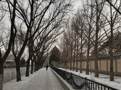 -东丽温泉羽毛球