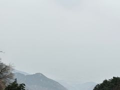 -偏爱炒鸡(老县衙店)