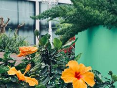 -F518时尚创意园