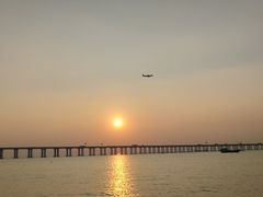 -宝安西湾红树林湿地公园