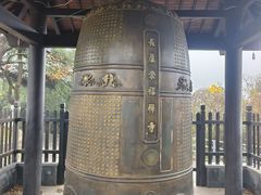 -太子山公园(园东路)