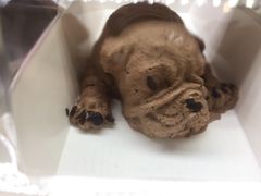 -仟吉KenGee(21世纪店)