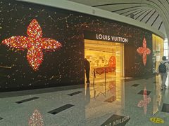-LV路易威登(大兴国际机场店)