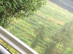 -紫鹊界梯田景区