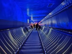 -白鹤梁水下博物馆