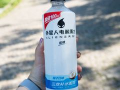 -紫金山山顶公园