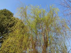 -眉山湿地公园(东坡区)