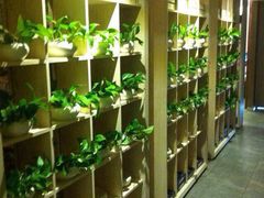 -正清和·推拿养生(黑石礁中心店)