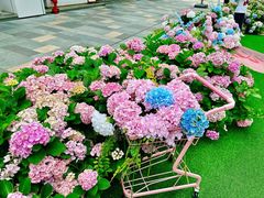 -HALO广场(梨园路店)