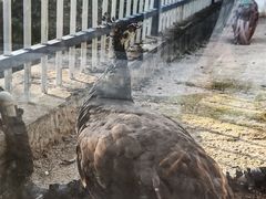 -宁波九龙湖开元度假村