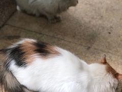 -龙达温泉生态城