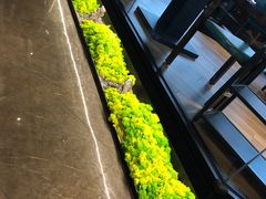 自助取餐区-淘米捞·米汤脆鲩鱼火锅(福田皇岗店)