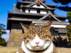 -颐而康按摩(八一桥总店)