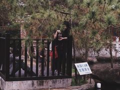 -名树园