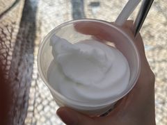 -洪馨椰子