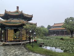 -曹州牡丹园