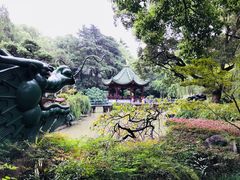-申粤轩酒楼·三十年粤菜经典(丁香花园店)