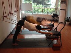 -成都阿难陀艾扬格瑜伽中心