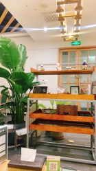 -芳香乐府疗愈空间·SPA·冥想