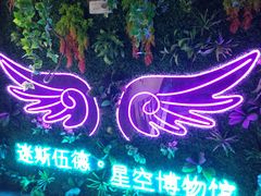 -迷斯伍德星空博物馆