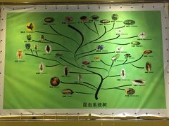 -上海昆虫博物馆