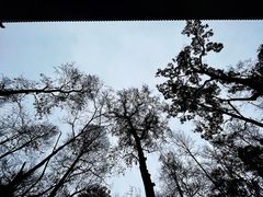 -黔灵山公园