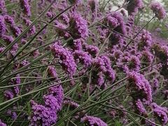 -杭州城北体育公园